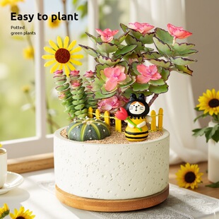 ����ֲ��M�������\��ĵ�������k�������辰�X������Ȥζ�Y���ͶY