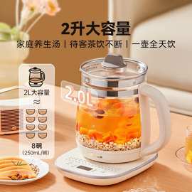 小.熊养生壶YSH-D20T6大容量煮茶多功能家用烧水壶办公室煮茶器2L