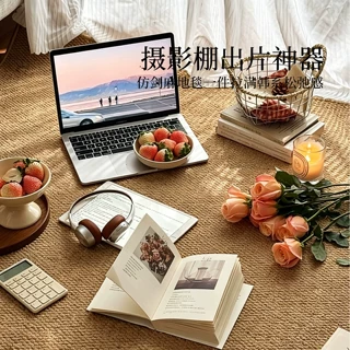 摄影棚拍照专用背景布地毯地垫仿剑麻商用工作室摆件背景地垫