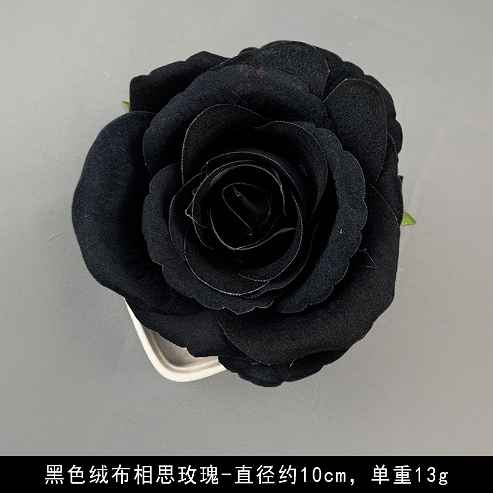 벨벳-아카시아 로즈