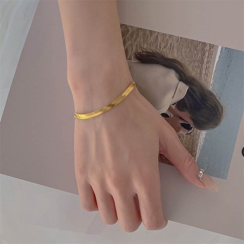 Transfronterizos Europa y América simple y exquisita cadena de hueso de serpiente versátil nueva cadena de tobillas de acero de titanio de moda femenina temperamento dorado cadena de pies de verano