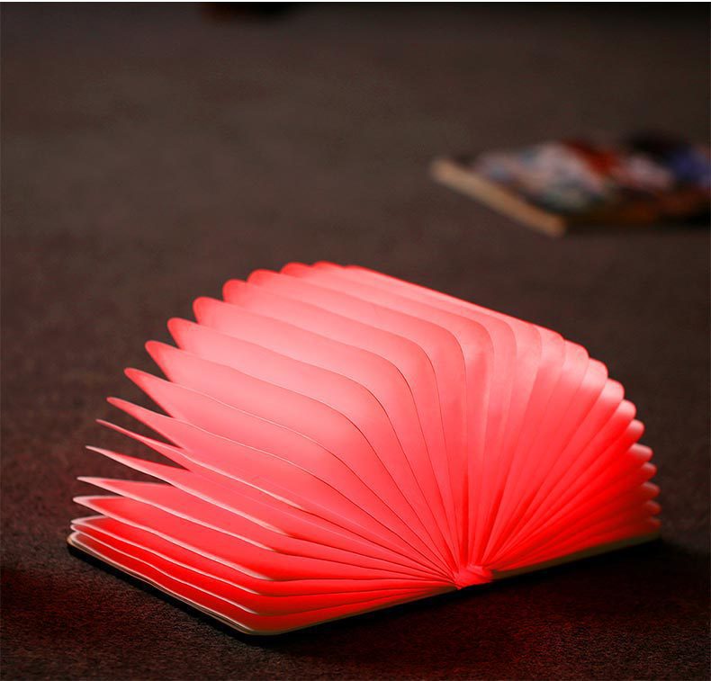 9522789006_1904968019