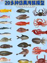 ���溣������ʳ��ģ�͵��߱걾չ��չʾ����ר�÷���ȸ���������