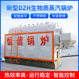 New DZH Biomass Steam Cower Hospital Disinfection шкаф прачечная отель DZH1.0-1.25-Sci Hengxin