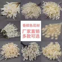 �㙉ɫ��10֦�b����õ���Y�b�ˇ��c��������·���廨