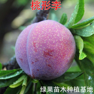 ��������� �޽����� ���������� �������Ә��� �ϱ����Nֲ������