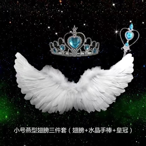 Halloween Feather Wings Children's Adult Dance Cross-Border Christmas Devil Black Wings Color Props Wholesale