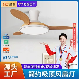 风扇灯;吸顶灯;智能家居