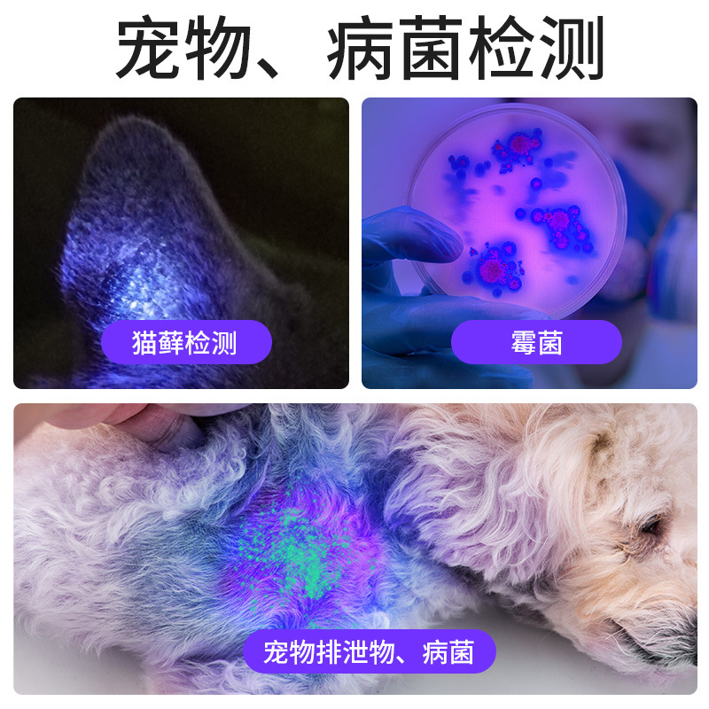 Shenhuo UV linterna de luz púrpura 365NM inspección de billetes de aleación de aluminio inspección de fluorescencia inspección linterna de jade gato musgo luz púrpura