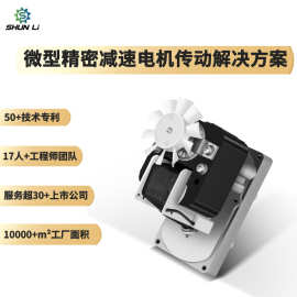 厂家定制交流烤箱交流罩极减速电机GM61C壁炉无刷齿轮减速马达