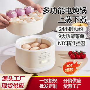 Multifunctional Stew Electric Stew Pot Small Baby Soup Smart Dormitory Home Reservation Ceramic Water-Proof Stew Mini Pot