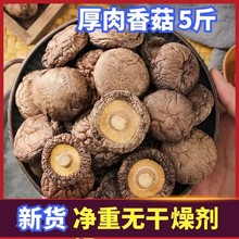 西峡农家新货干香菇商用剪脚肉厚干蘑菇食用菌类干香菇干货散