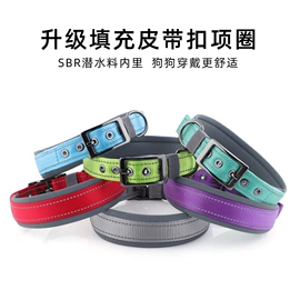 狗狗牵引;宠物项圈;猫猫牵引