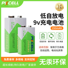 懚 NI-MH250mAh 9V늳 õԷ늳