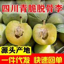�Ĵ������Ó���������rˮ�������ˬ������봨���Ӵ����������