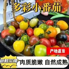 �߲�Сެ�����S�C�l؛��ɫ�}Ů��С���t������С�������rˮ���Fժ