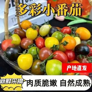 �߲�Сެ�����S�C�l؛��ɫ�}Ů��С���t������С�������rˮ���Fժ