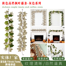 �f�}����ɫ�������~ ���R�d�ж����bڒ������~�G���ٗl