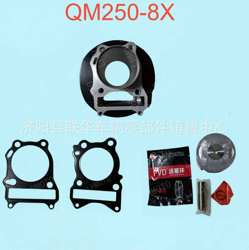 Bigfoot QM250-8X cylinder kit QM250GYGS250 engine cylinder block piston ring cylinder gasket piston kit
