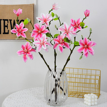 �S�����l4�^���m��֦ ��c�Y���b��滨 �ָ��zƬ�m���ҾӔ[��