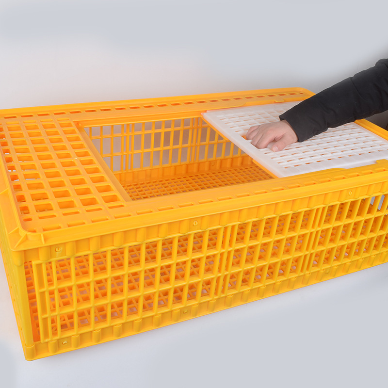Tipo de exportación caja de facturación de jaula de pollo de transporte de cría de plástico hogar cesta grande en pollo pato ganso paloma jaula de conejo