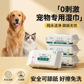 湿巾纸;湿厕纸;厨房用纸