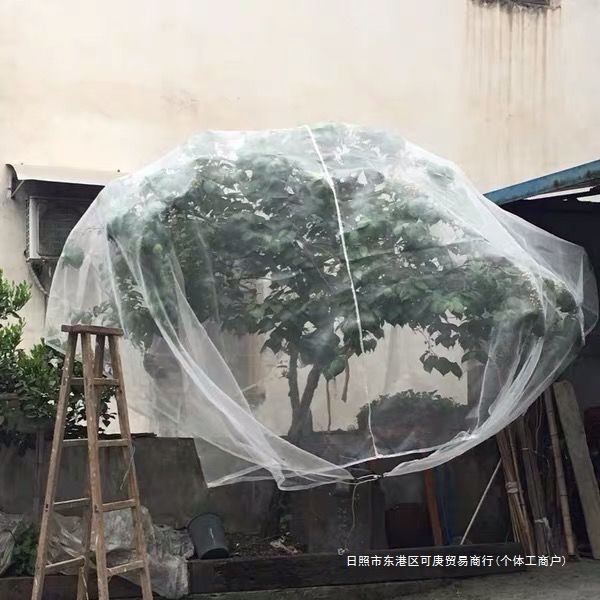 果树防虫网果园大棚杨梅樱桃网罩防虫防果蝇莲雾桃树蓝莓家用网套