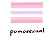 泛性恋3色红黄蓝彩虹旗4号旗帜旗子Pansexual flag3*5ft现货跨境详情54