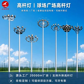 道路照明灯;景观灯;太阳能灯