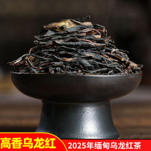 �����������t����~�Ř�t�����m��Ұ퍏��Ҝ�����������ɢ��