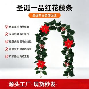 �羳���R�d�����}�Q����һƷ�t�ٗl�t�{���T���b�����Gֲ�ٗl