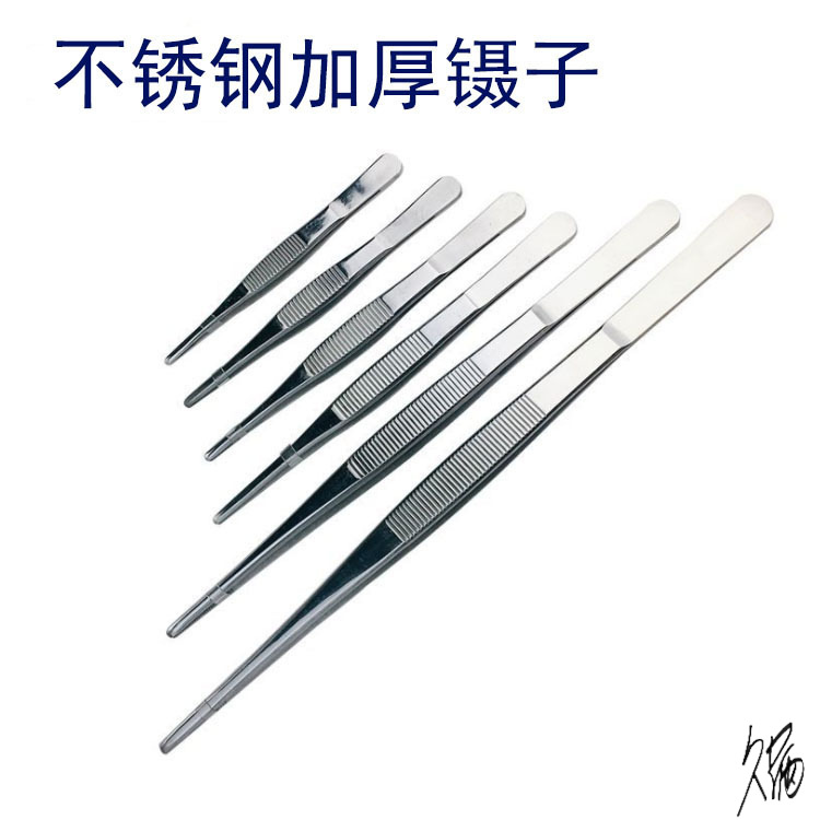 镊子不锈钢浇水壶喷壶套装家用铲子三件套圆头加厚筛子组合