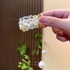 Ponytail from pearl, crab pin, hairgrip with tassels, hair accessory, 2024 years, flowered, internet celebrity, wholesale