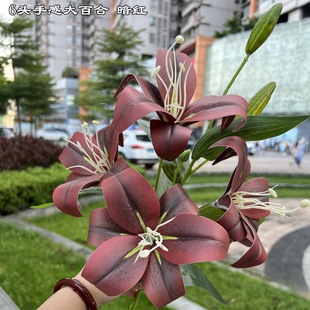 �tɫ�ٺϻ�3D���滨�S�� 6�^�ָд�ٺ���ˮ�ٺϻ�cܛ�b�ٻ����l