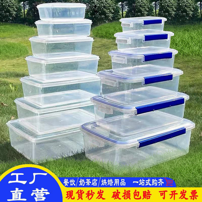 Plastic Transparent Food Storage Box, Microwaveable, Refrigerator-Safe, Rectangular Lunch Box