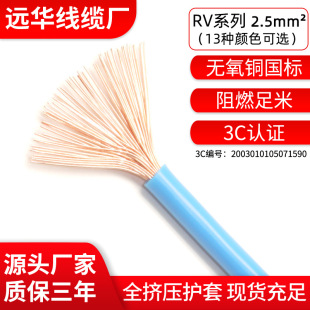 ���~����ZC-RV2.5ƽ����Ӿ��x�����܃Ȳ���̖��ݔ�Դ��13�N�ɫ