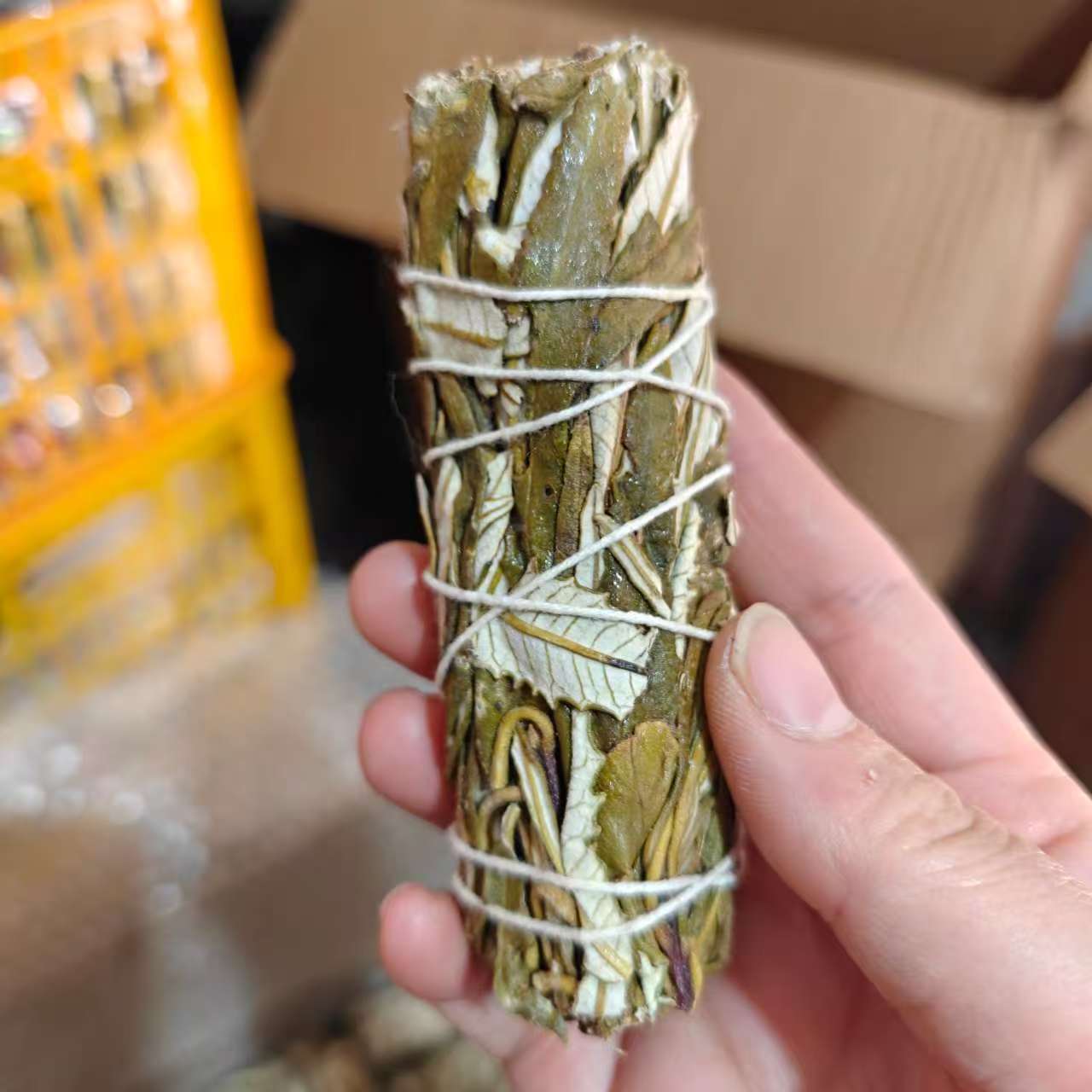 Rumput Suci (kira-kira 45-50g)
