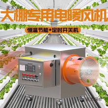溫室大棚暖風機大功率恆溫電熱風爐養殖場畜牧工業大面積取麥太保