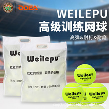 ODEA欧帝尔网球整袋DD1 DD2 DD3 GOLD DD8无压耐打初学训练球