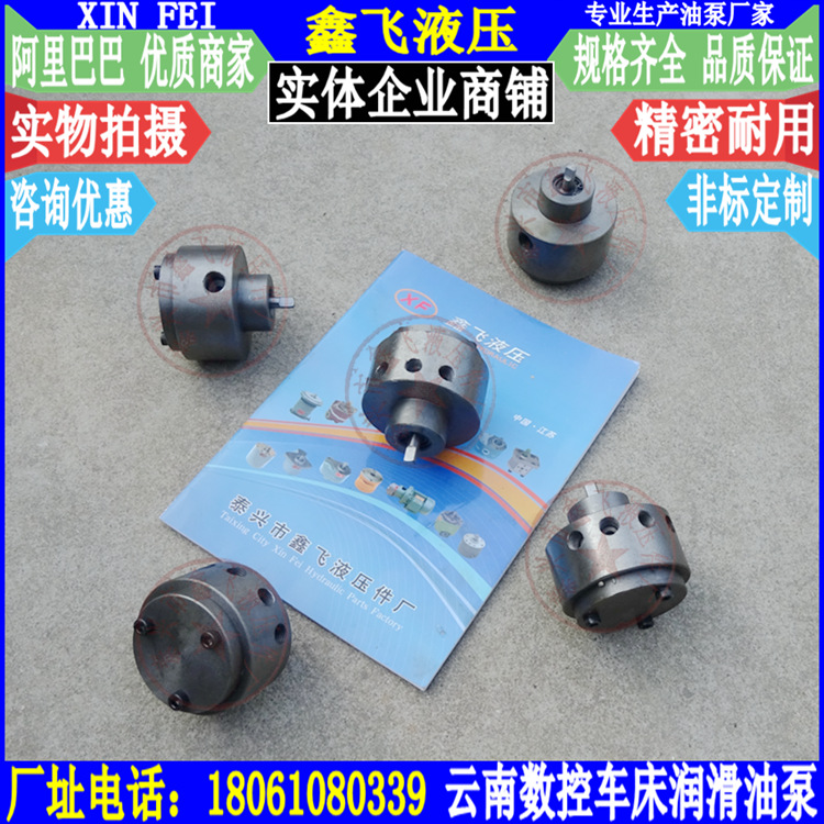 CY6250B/1500/3000数控机床润滑泵 云南联机主轴箱多孔出油泵