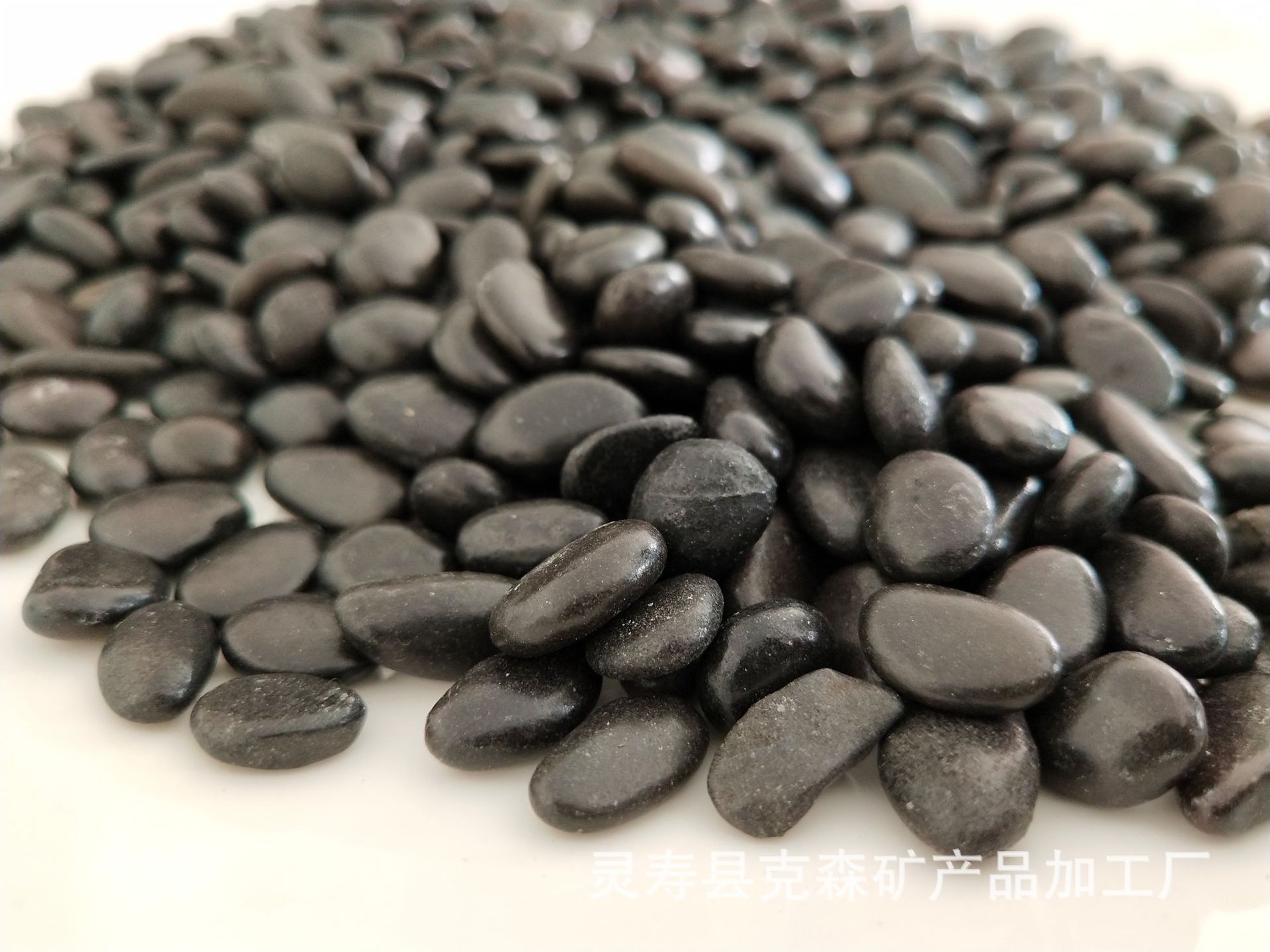 铁胆砂7