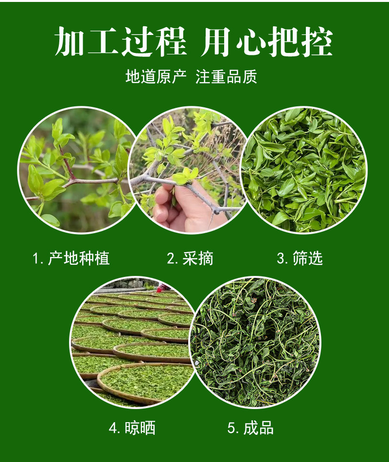 Suan Zao Ya Tea (Ziziphus jujuba var. spinosa) — First-Flush Wild Jujube Leaf Buds, 500g preparation