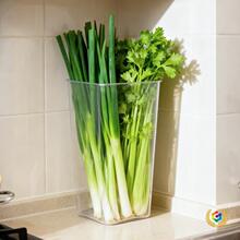 ?���Ǻ��Jɽș���[�ռ{�� ������͸����Ͱ �N��ʳ�ı��rͰ