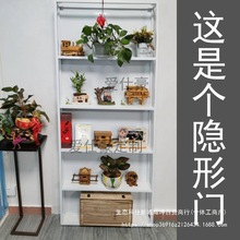 �t�T����������W�[���T�N�����T�l�������[����ñ��ñ�g�l���g��