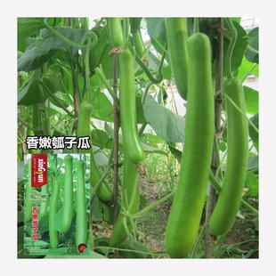 �������ۺ����L��ӹϷN���ѹϷN�Ѻ��J��ˮ�ϸ߮a�����߲˷N��