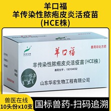华宏羊口福疫苗灭活疫苗羊口疮疫苗山羊小羊传染性脓包皮炎兽用药