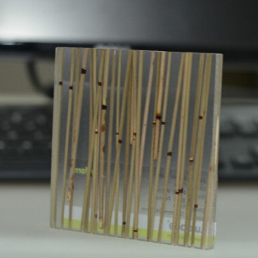 透明树脂板生态树脂板树脂板装饰树脂板厂家防潮防火隔音