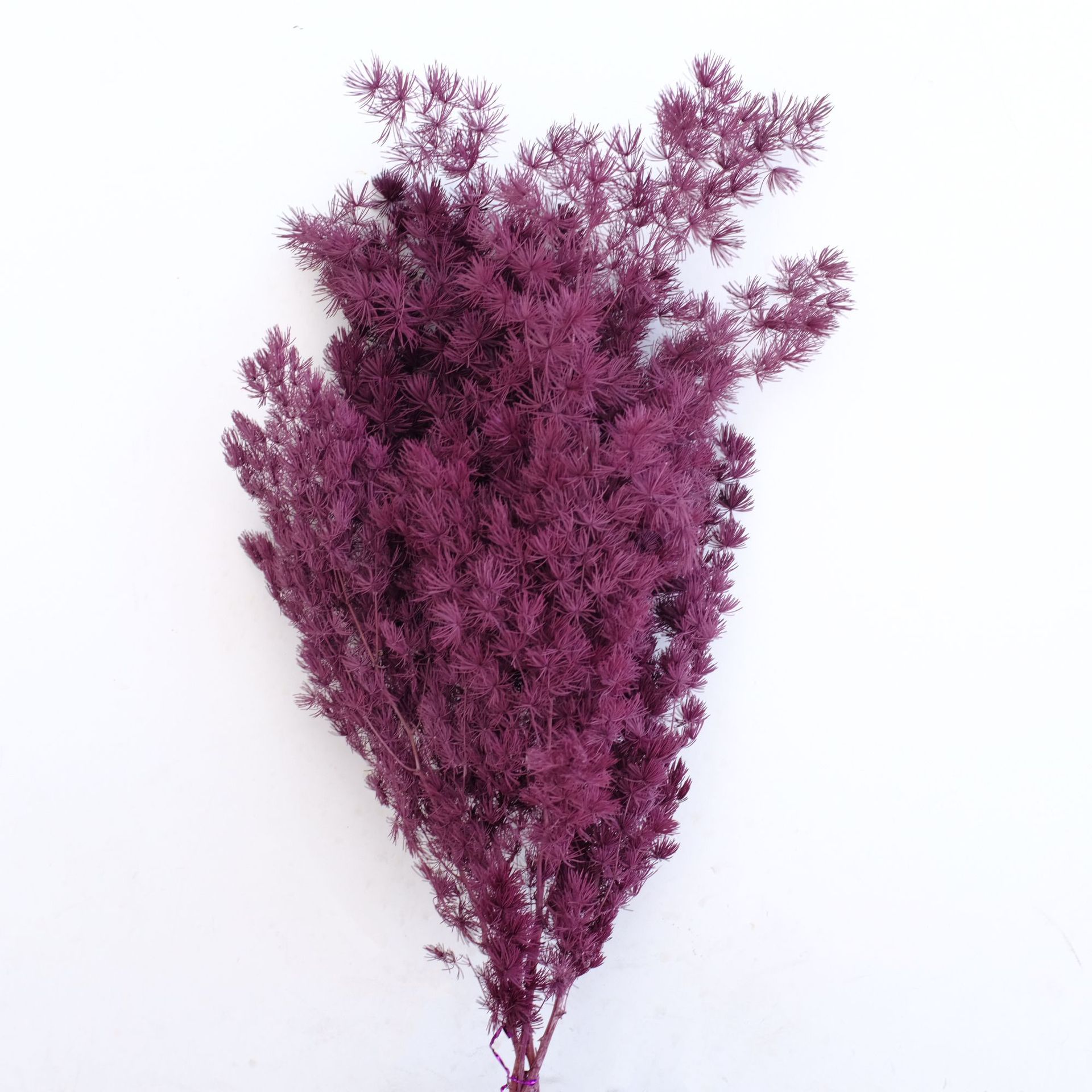 Purple red