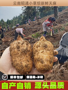 ���u���r����1000g2����ͨС�݉Ξ�������Ϸ�Ұ��500g1��Ǹ�؛