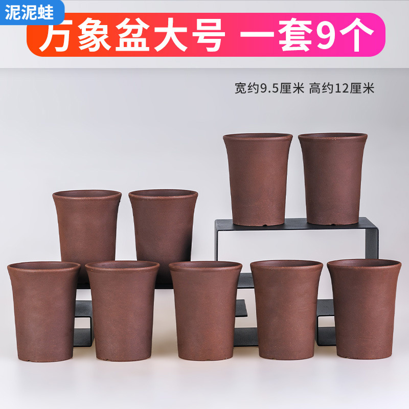 玉露十二卷多肉花盆透气粗陶兰花植物小紫砂陶瓷小老桩高花盆套装